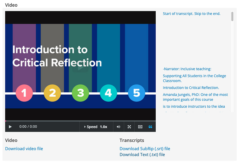 A screenshot of LMS with video screen on the left, and transcript area on the right.