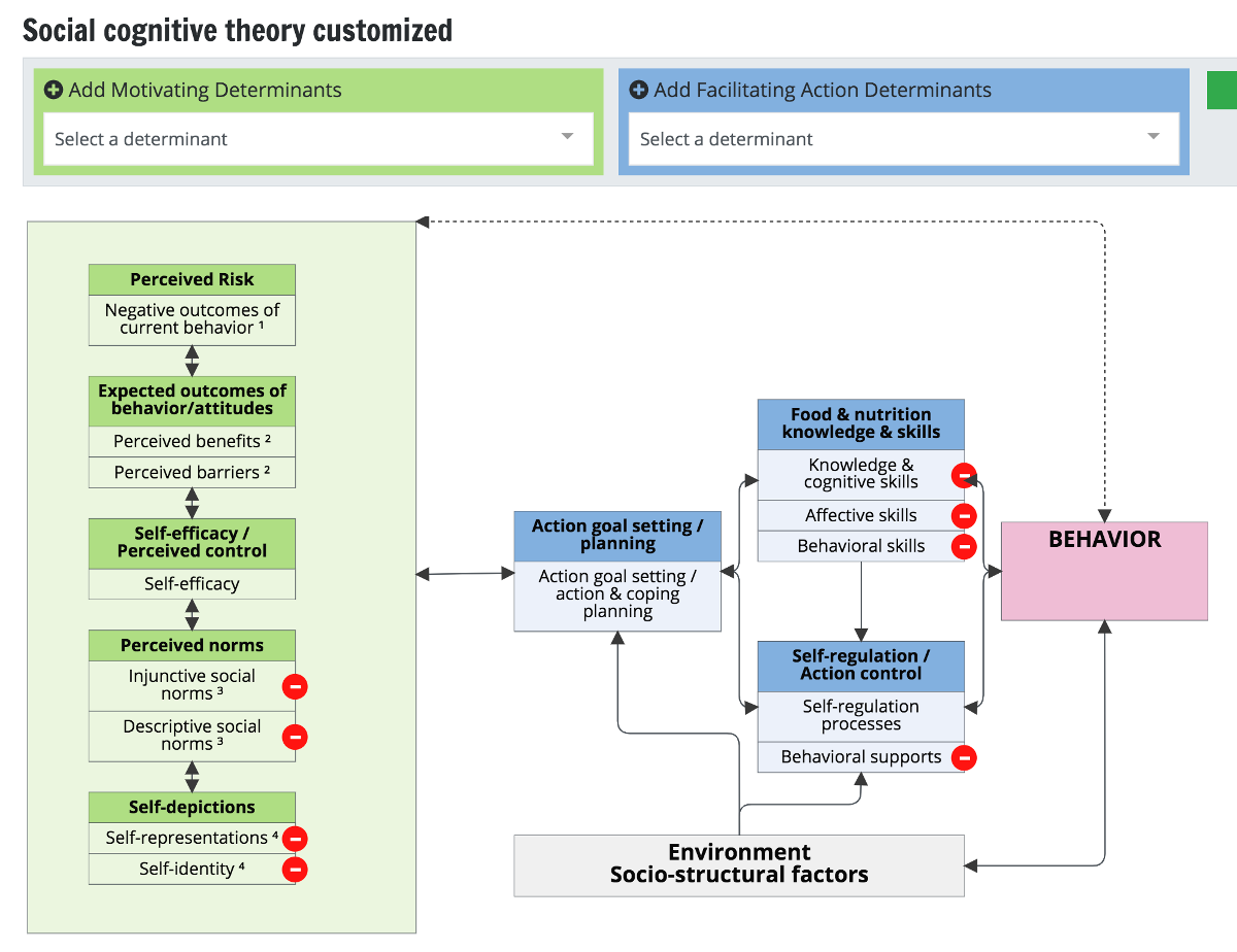 A screenshot of Social Cognitive nutrition theory model