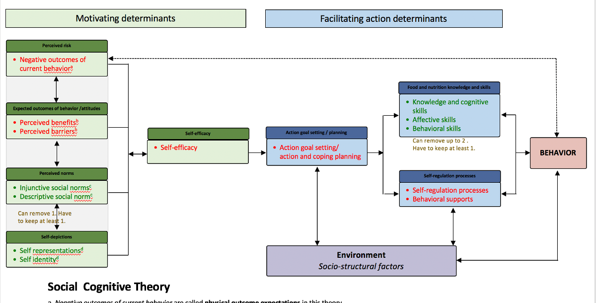 A screenshot of the requirements document for the Social Cognitive nutrition theory model