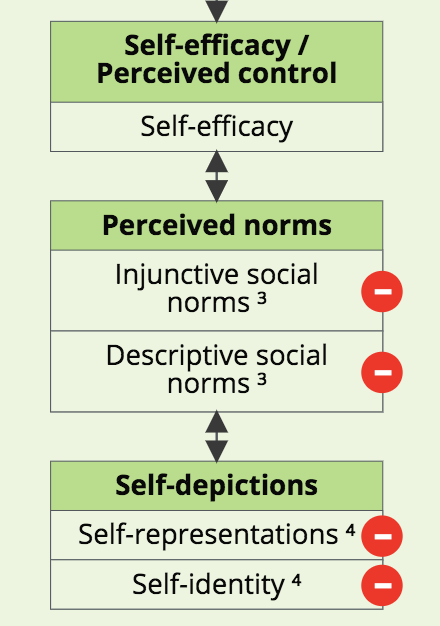 A screenshot of the Perceived Norms determinant