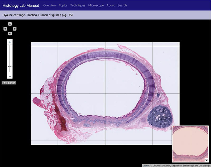 A screenshot of our current working virtual microscope.